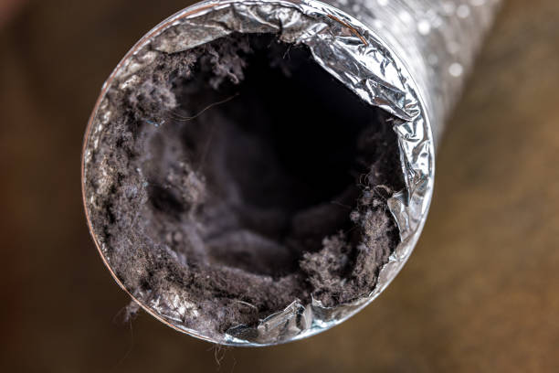 Best Commercial Air Duct Cleaning  in Sidney, MT